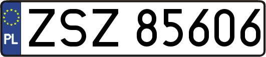 ZSZ85606