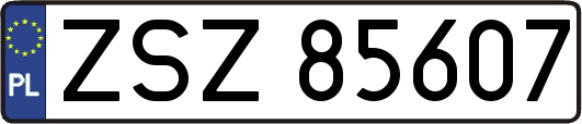 ZSZ85607