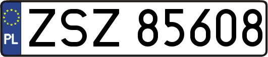 ZSZ85608