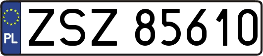 ZSZ85610