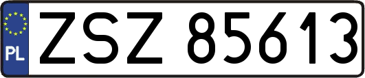 ZSZ85613