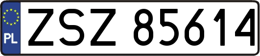 ZSZ85614