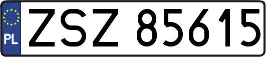 ZSZ85615