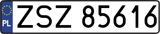 ZSZ85616