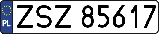 ZSZ85617