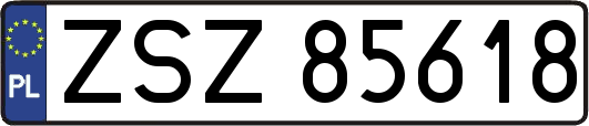 ZSZ85618