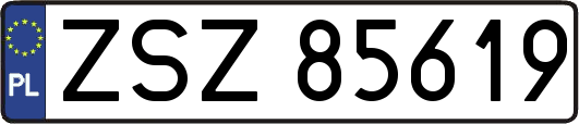 ZSZ85619