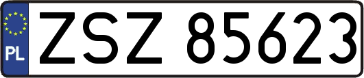 ZSZ85623