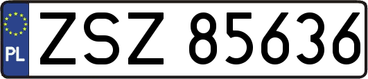 ZSZ85636