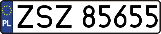 ZSZ85655