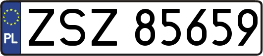 ZSZ85659