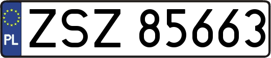 ZSZ85663