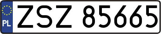 ZSZ85665