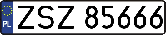 ZSZ85666