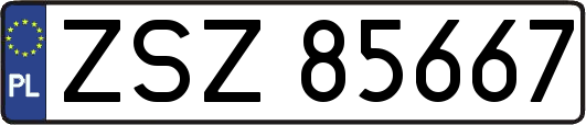ZSZ85667