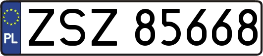 ZSZ85668