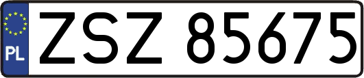 ZSZ85675