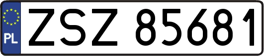 ZSZ85681