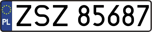 ZSZ85687