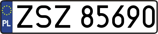 ZSZ85690