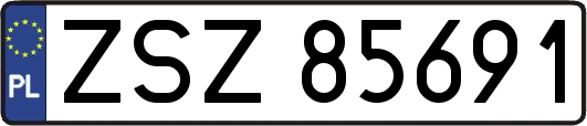 ZSZ85691