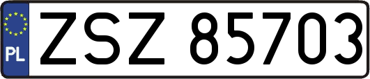 ZSZ85703