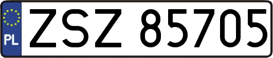 ZSZ85705