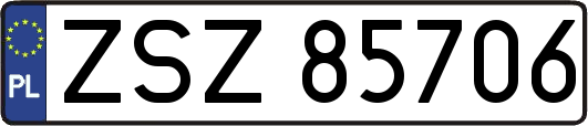 ZSZ85706