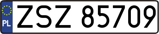 ZSZ85709