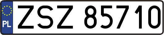 ZSZ85710