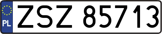 ZSZ85713
