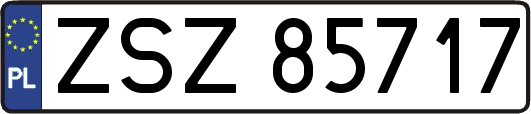 ZSZ85717