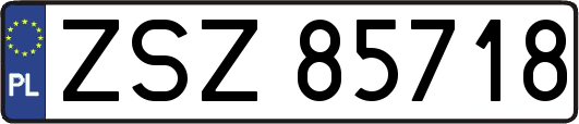 ZSZ85718