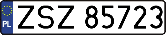 ZSZ85723
