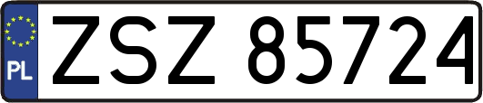 ZSZ85724