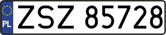 ZSZ85728