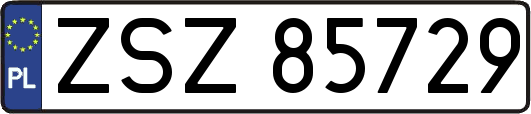 ZSZ85729
