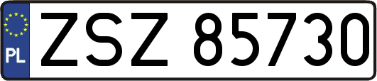 ZSZ85730