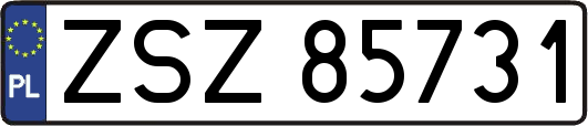 ZSZ85731