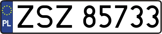 ZSZ85733