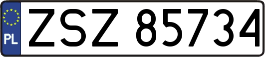 ZSZ85734