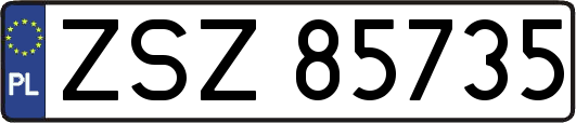 ZSZ85735