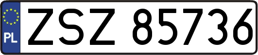 ZSZ85736