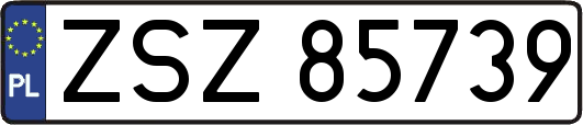 ZSZ85739