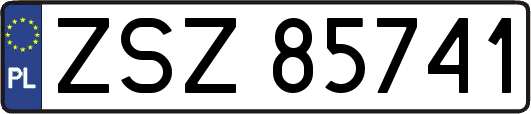 ZSZ85741