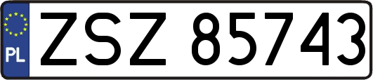 ZSZ85743
