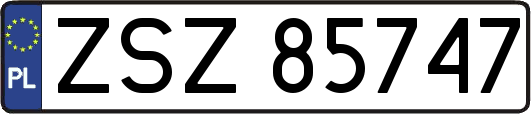 ZSZ85747