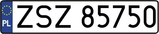 ZSZ85750