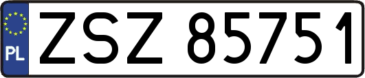 ZSZ85751
