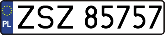 ZSZ85757